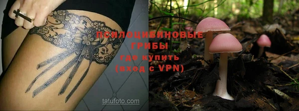 ALPHA PVP Верея