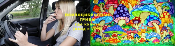 ALPHA PVP Верея