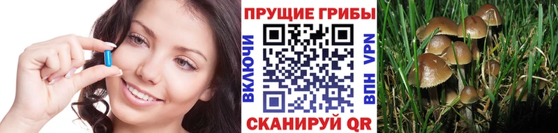 где купить наркоту  Меленки  Галлюциногенные грибы ЛСД 